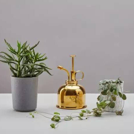 A all brass household flower and succulent watering bottle in various colors for gardening and home use